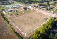 Investasi Tanah Jadi Tren Baru Gen Z, Ahli Ungkap Strategi Aman dan Optimal