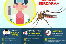 Waspada Serangan Malaria dan DBD