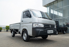 Suzuki Carry Pick Up, Solusi Transportasi Bisnis