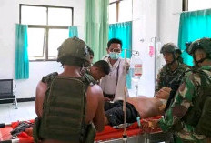 Anggota TNI Kembali Diserang OPM Papua