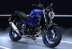 Kelebihan dan Kekurangan Suzuki GSX-R150 dan Suzuki SV650