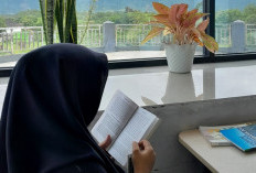 Udara di Terasa Pengap ? Coba Hadirkan Tanaman Pembersih Udara Ini !