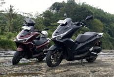 Harga Tembus Rp 40,9 Juta, Ini Rincian Pajak Tahunan Honda PCX 160 RoadSync