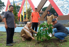 Peringati Hari Lingkungan Hidup, Ribuan Pohon Ditanam di Rejang Lebong, Ada Pohon Tabebuya! 