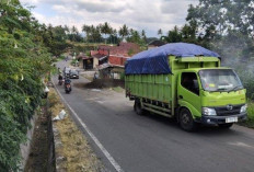 Wow! Ratusan Truk Batubara Melintas Rejang Lebong Tanpa Dokumen Lengkap