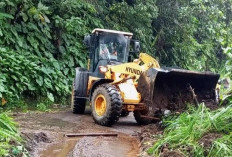  Hujan Deras Picu Longsor di Air Dingin, Akses Jalan Sempat Lumpuh