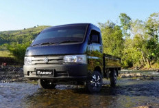 Review Lengkap Suzuki Carry Pick Up 2025, Tangguh dan Irit Solusi Cerdas untuk Usaha!