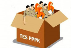 Seleksi PPPK Pemprov Bengkulu Tahap II 4 Hari