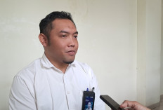 Harga Masih di Atas HPP, Bulog Rejang Lebong Belum Serap Jagung Petani