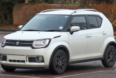 Suzuki Ignis, Mobil Kecil Rasa SUV yang Bikin Gaya Berkendara Makin Percaya Diri