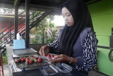 Nikmati Sensasi Petik Strawberry dari Kebunnya