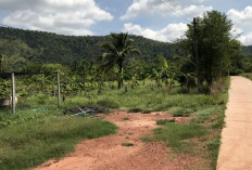 Tanah Murah Tapi Bermasalah ? Begini Cara Cek Tanah Sengketa Sebelum Transaksi