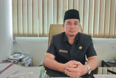 Gunakan Hibah 