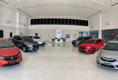 Honda Catat Kenaikan Penjualan di Mei 2025, Mobil Ini Jadi Kontributor Utama