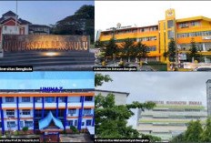  Calon Mahasiswa Wajib Tahu, Ini Dia 4 Universitas Terbaik yang Ada di Bengkulu
