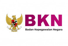 Yuk Cek Status Kamu di BKN, Sudah Terdaftarkah ?