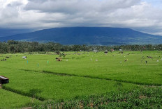 Jangan Terlambat ! Dokumen Kepemilikan Tanah Ini Wajib Diganti Sebelum 2026