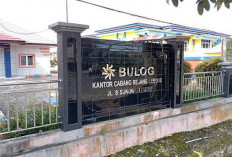 Bulog Rejang Lebong Serap 22 Ton Jagung, Dorong Stabilitas Harga dan Ketahanan Pangan Petani Lokal