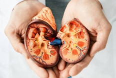 Waspada! Ini Tanda-Tanda Kanker Ginjal, Pembunuh Senyap yang Sering Diabaikan