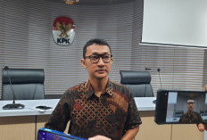 KPK Sebut 580 Anggota DPR dan 152 Anggota DPD Sudah Lengkapi LHKPN