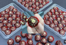 Manisnya Bikin Meleleh, Resep Kue Ferrero Rocher Anti Gagal!