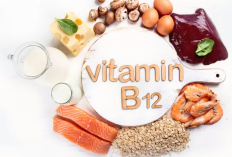 Ini Ciri dan Gejala Tubuh Kamu Kekurangan Vitamin B12, Fatal jika Dibiarkan!