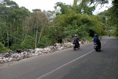 Soal Tumpukan Sampah di Tabarenah, DLH : Minggu Ini Diangkut