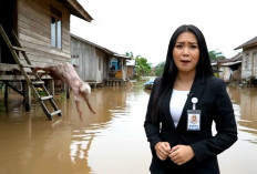 Deepfake Semakin Canggih, Begini Cara Melindungi Diri dari Penipuan Berbasis AI