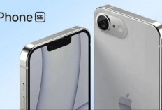 Harga iPhone Akan Naik Lagi di Akhir Tahun 2025 Ini