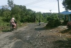 Warga Berharap Jalan Rusak Dapat Diperbaiki