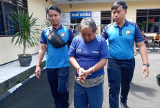 Pria Lanjut Usia di Rejang Lebong Ini Gagahi Balita Hingga Trauma