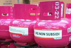 Ramai Tabung LPG 3 Kg Warna Pink, Ini Penjelasan Resmi dari Pertamina