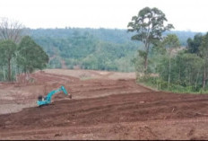 Pengerjaan Program Cetak Sawah Baru Capai 251 Hektare, Ditargetkan Rampung Tepat Waktu