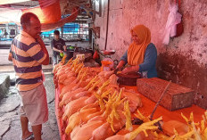 Harga Daging Ayam di Rejang Lebong Kembali Normal, Segini Harganya!