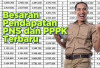 Gaji PNS dan PPPK Tahun 2025 Naik Ini Rinciannya!