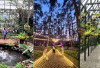 Taman Anggrek di Tengah Hutan Lembang