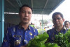 Harga Sayur Anjlok Usai Lebaran, Bupati Rejang Lebong Gerakkan OPD Bantu Petani
