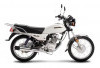 Honda GL-Max Kembali Hadir Sebagai Ace 125, Harga Setara Scoopy