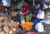 Harga Kelapa dan Santan di Rejang Lebong Melambung Tinggi