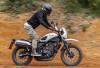 Bukan Sekadar Tampan ! Ini Alasan Honda CL250 Layak Masuk Garasimu