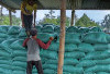 Desa Air Meles Bawah Jadi Sentral Produksi Pupuk Kompos di Rejang Lebong