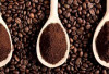 Produktivitas Rendah Jadi Penghambat, Bagaimana Masa Depan Kopi Indonesia ?