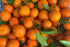 Tangerine, Buah Keberuntungan Imlek yang Kaya Manfaat Kesehatan