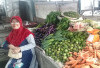 Pengaruh Musim Kopi, Harga Sayur di Pasar Atas Curup Naik