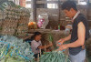 Harga Sayur di Gudang Naik, Petani dan Pedagang Antusias